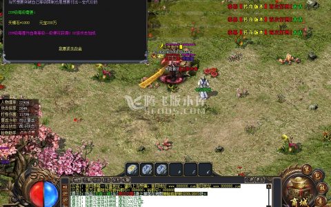 1月重启未来神器专属单职业传奇商业一条龙-宝石镶嵌-古神之体-斗转星移-机械师